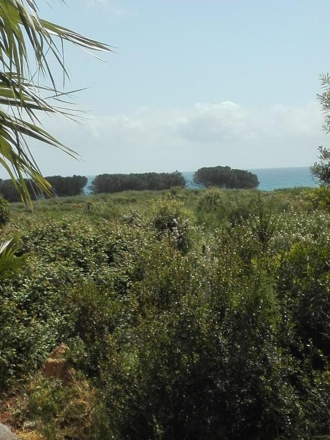 Les Jardins De La Mer Marine De Bravone - 2 Chambres A Lit Plus Sofa Avec Piscine A Cote Mer Linguizzetta 外观 照片