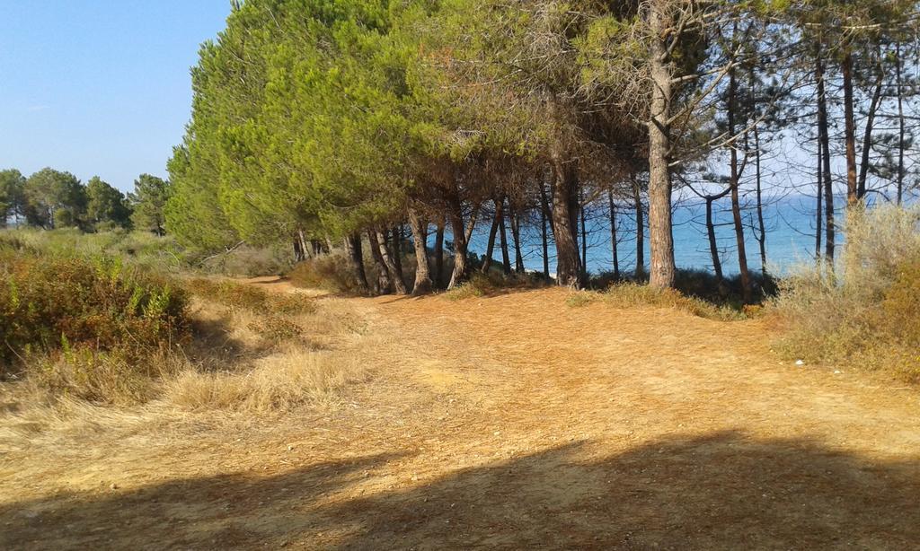 Les Jardins De La Mer Marine De Bravone - 2 Chambres A Lit Plus Sofa Avec Piscine A Cote Mer Linguizzetta 外观 照片