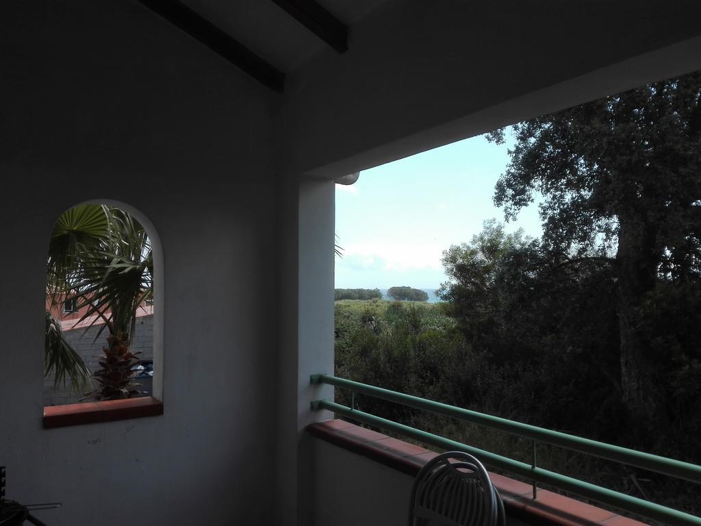 Les Jardins De La Mer Marine De Bravone - 2 Chambres A Lit Plus Sofa Avec Piscine A Cote Mer Linguizzetta 外观 照片